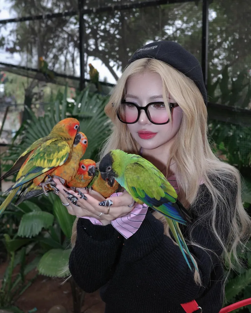 Instagram Bùi Thảo Ly nổi bật.