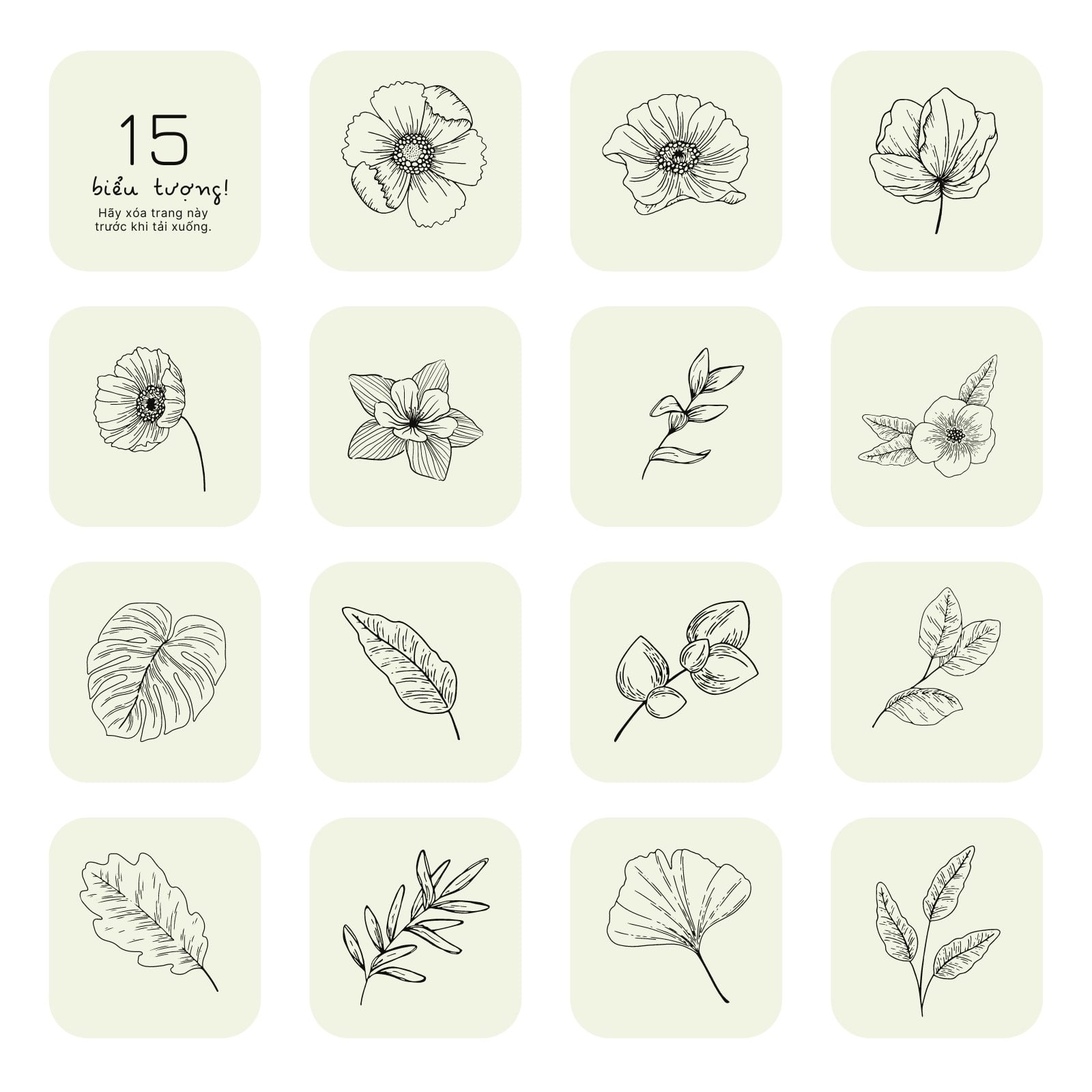 Icon app ios thẩm mỹ - 1