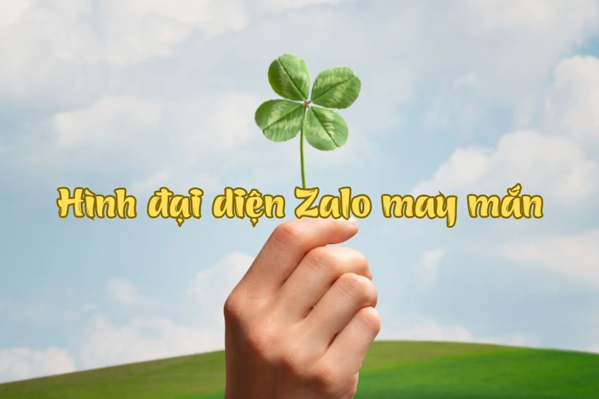 Ảnh bìa nhóm zalo - 5