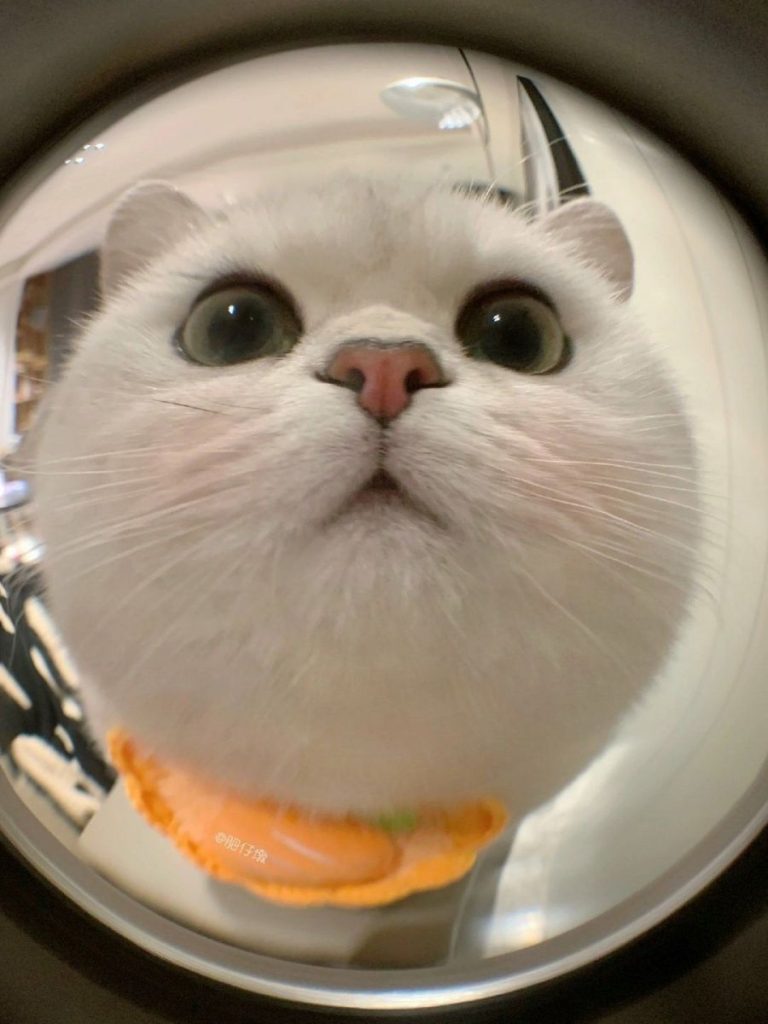 Avatar cute - 7