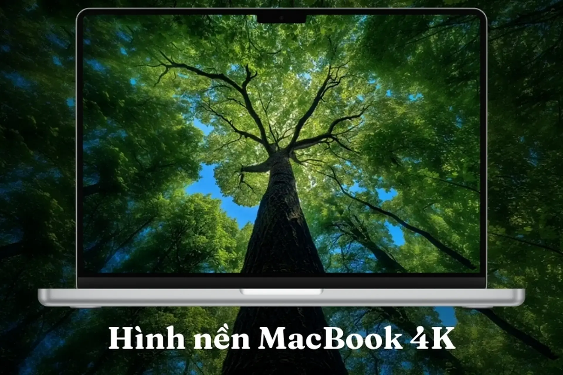 Hình nền laptop - 9