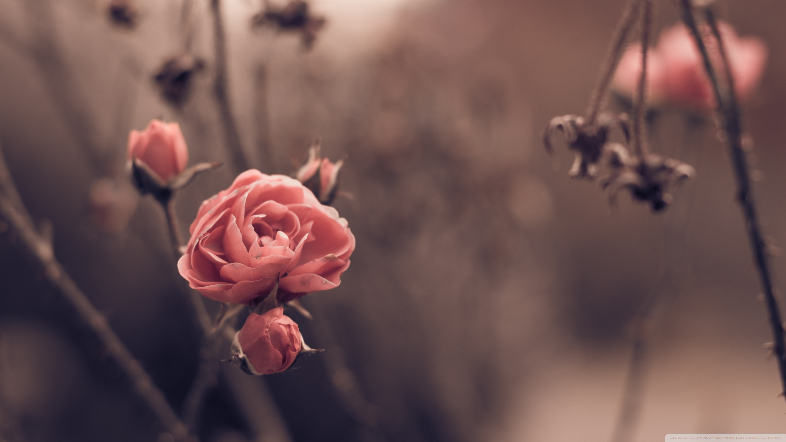 Ảnh bìa facebook - 9