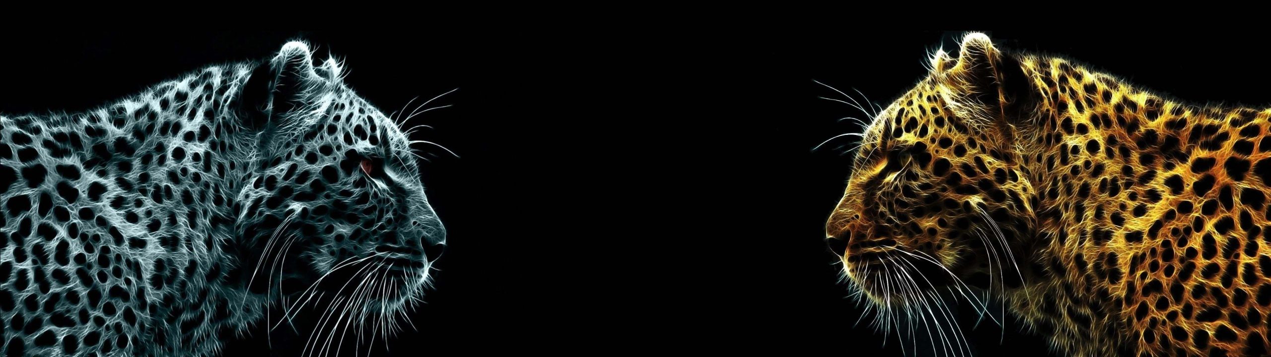 Hình nền 2 màn hình - 9
