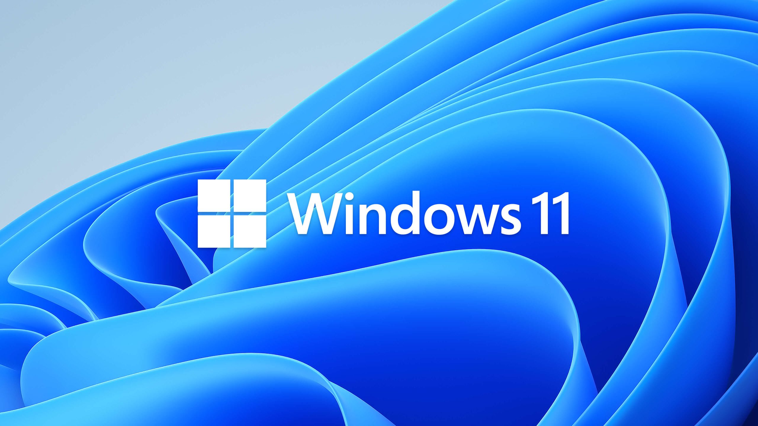 Hình nền windows 11 - 10
