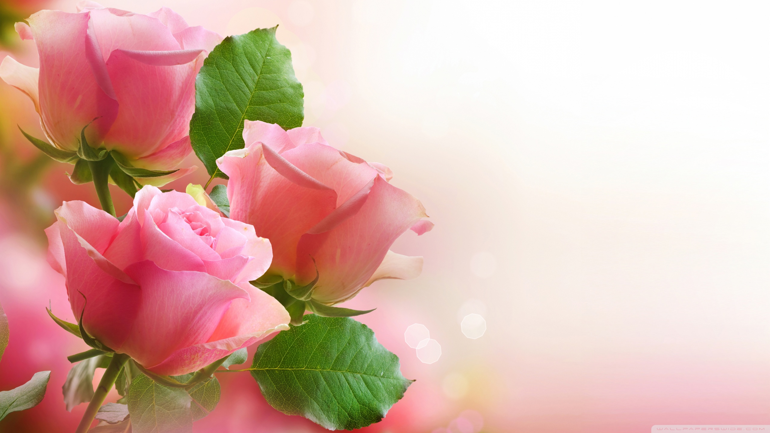 Ảnh bìa facebook - 10