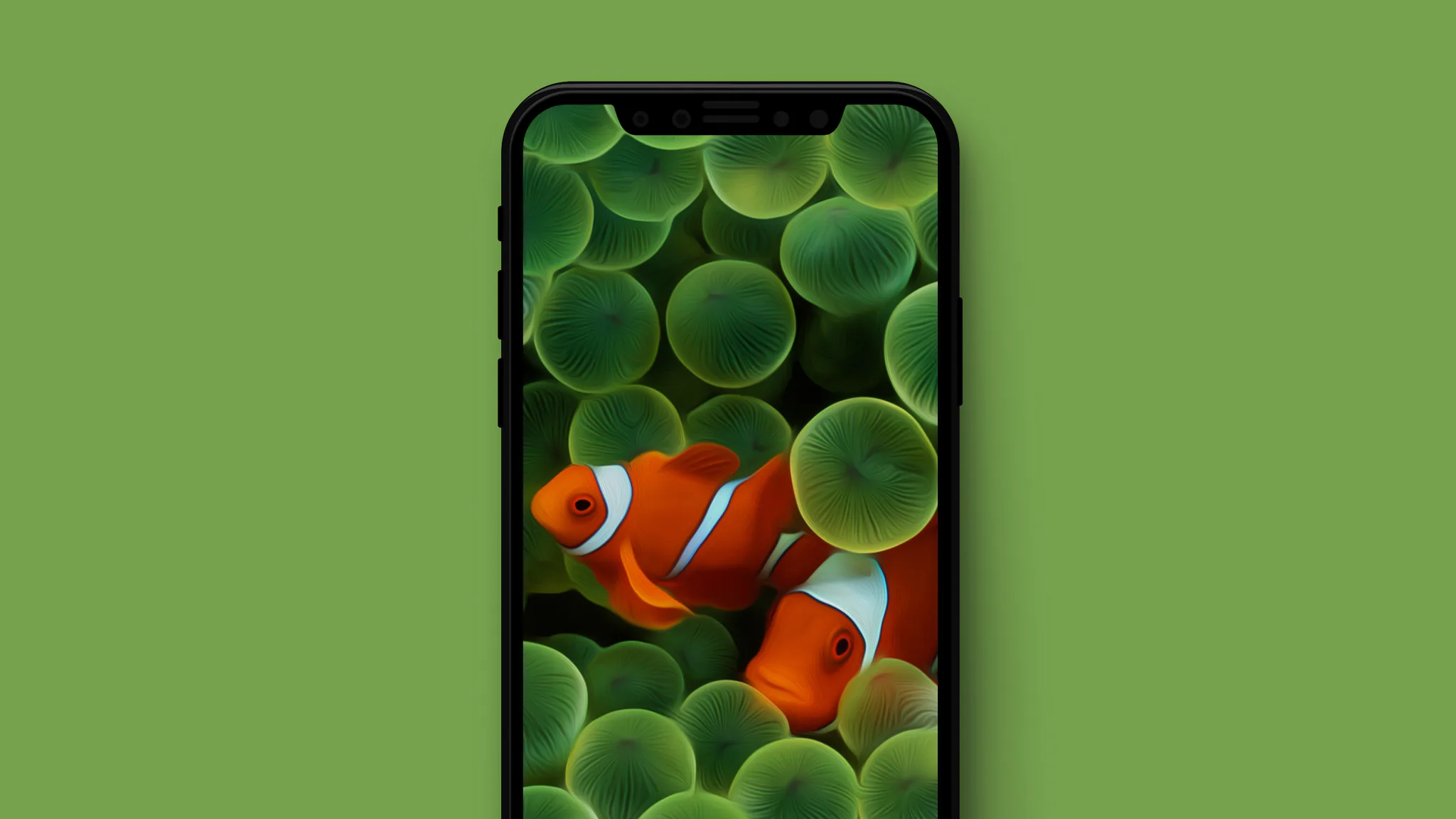 Hình nền iphone - 18