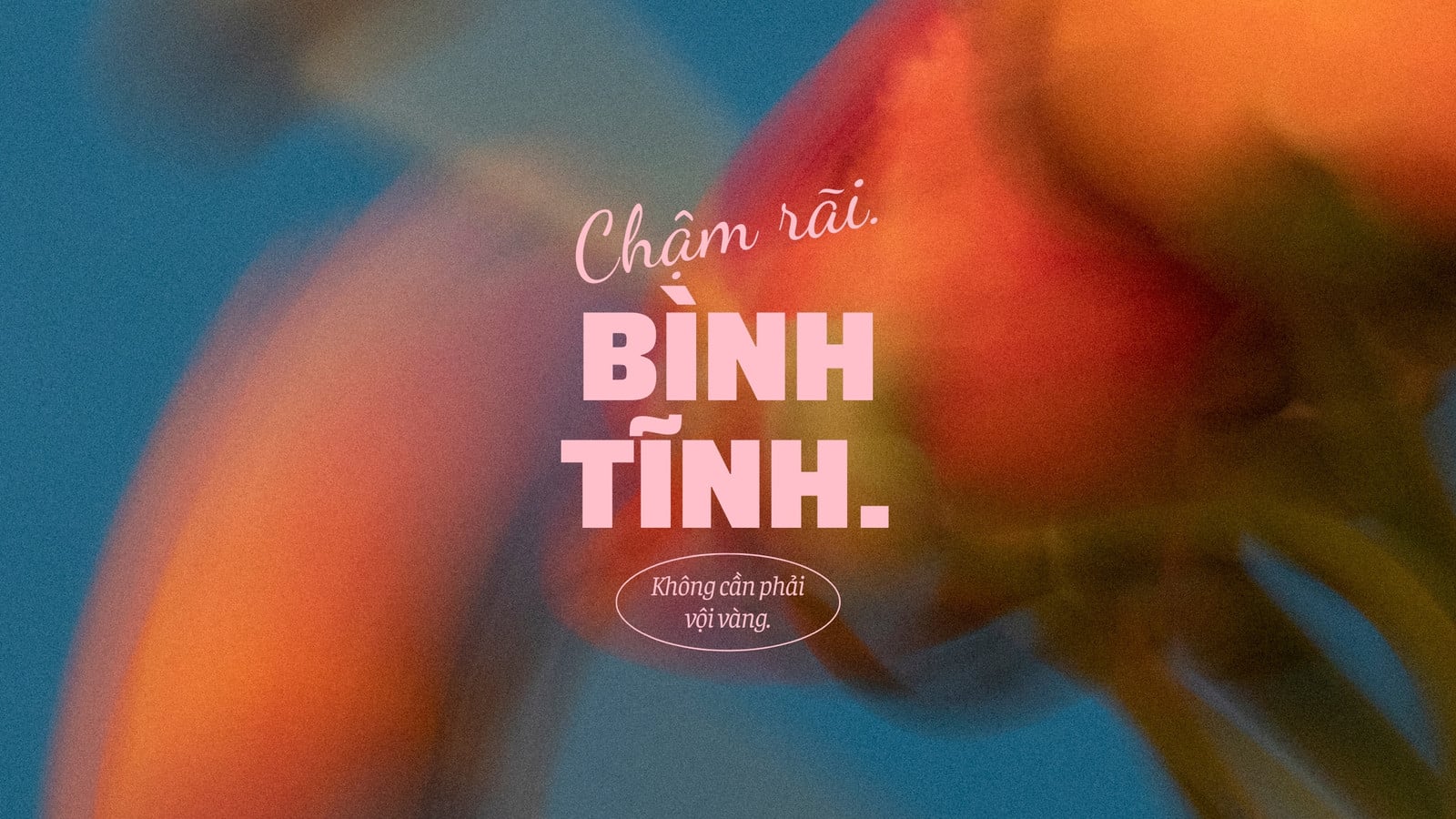 Hình nền máy tính - 20