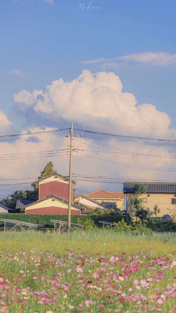 Hình nền vintage - 22