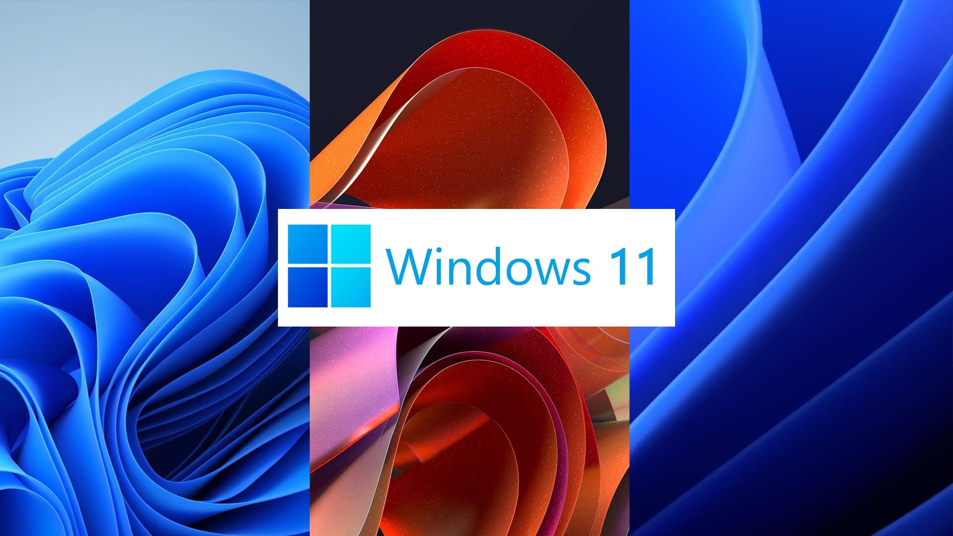 Hình nền windows 11 - 24