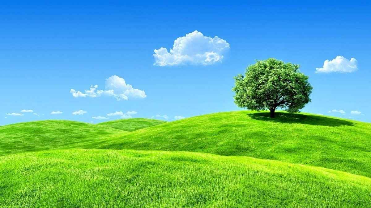Ảnh bìa nhóm zalo - 26