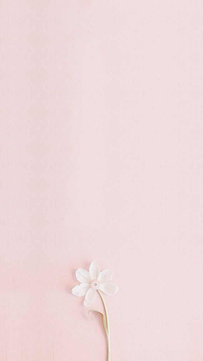 Hình nền pastel - Chọn bản gốc lớn để tránh vệt chia dải