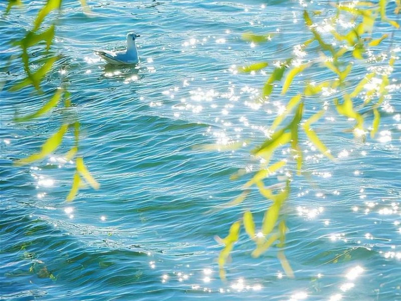 Hình nền 1920x1080 - 38
