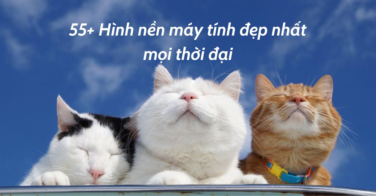 Hình nền máy tính - 40